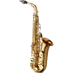 YANAGISAWA Saxophone Alto série Elite AWO20 cuivre Rose