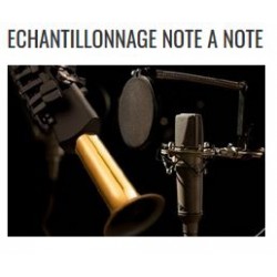 SAXOPHONE NUMERIQUE YDS-150 YAMAHA