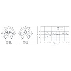 SHURE - SSP BETA58A-Voix - Dynamique Supercardioïde adv