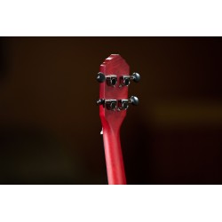 ORTEGA UKULELE CONCERT OKOUME ROUGE adv
