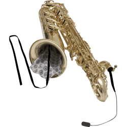 BG-A30SB ECOUVILLON SAXOPHONE BARYTON adv