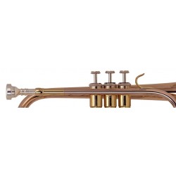MTP 300G CORNET SIB VERNI ADV