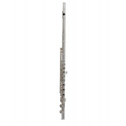 FLUTE TREVOR JAMES 10X 3041RSLRW plaque et noyau argent massif ADV
