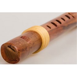 Mollenhauer EDITION REVE SOPRANO TE-4118 - PRUNIER adv