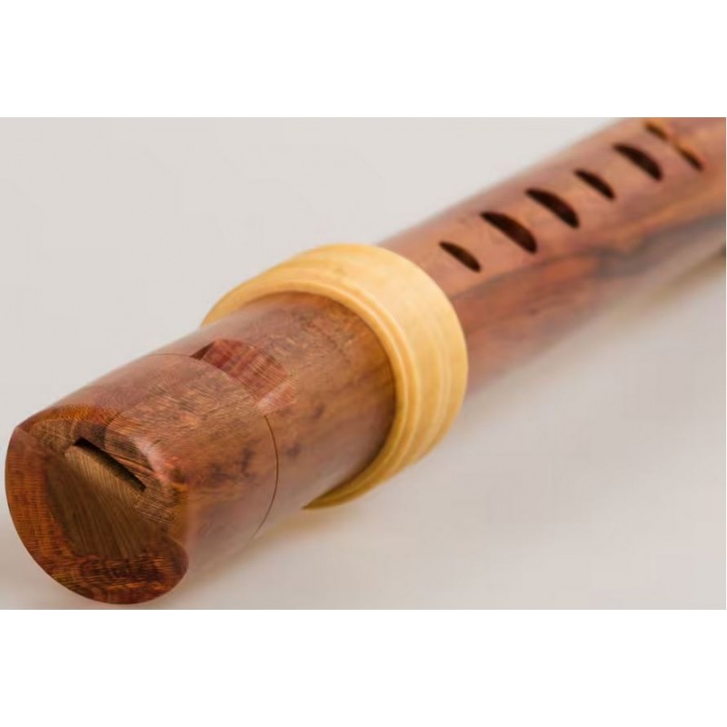 Mollenhauer EDITION REVE SOPRANO TE-4118 - PRUNIER adv Mollenhauer EDITION REVE SOPRANO TE-4118 - PRUNIER adv