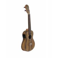 UKULELE CONCERT ALABAMA DAO ELECTRO adv