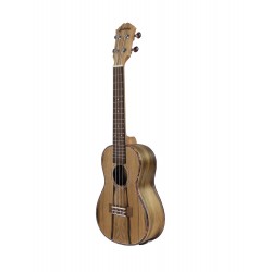 UKULELE CONCERT ALABAMA DAO ELECTRO adv