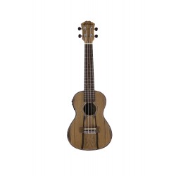 UKULELE CONCERT ALABAMA DAO ELECTRO adv