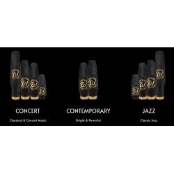 Bec saxophone alto Essentials Concert adv