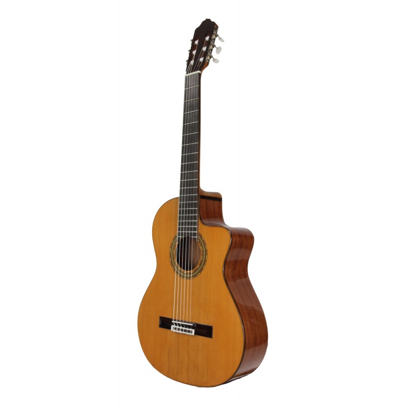 GUITARE ESTEVE 4STCE FISHMAN SILLET 52MM adv