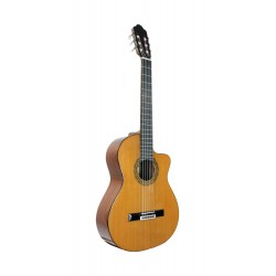 GUITARE ESTEVE 4STCE FISHMAN SILLET 52MM adv