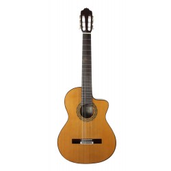 GUITARE ESTEVE 4STCE FISHMAN SILLET 52MM adv