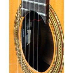 GUITARE ESTEVE 4STCE FISHMAN SILLET 52MM adv