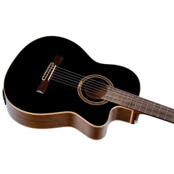 RCE238SN-BKT Slim Neck pan coupé EQ MagusPro adv