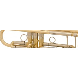 MTP TROMPETTE SIB X8 VERNIE adv