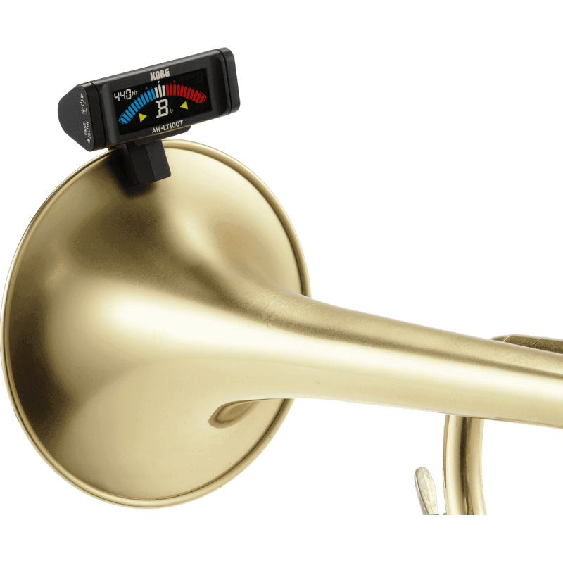 KORG ACCORDEUR A PINCE AW-LT100T adv