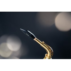 SELMER BEC SAXOPOHONE ALTO DENSITY adv