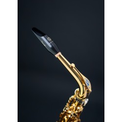 SELMER BEC SAXOPOHONE ALTO DENSITY adv