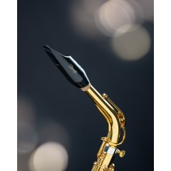 SELMER BEC SAXOPOHONE ALTO DENSITY adv