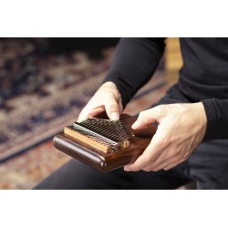 MEINL KALIMBA ELCTRO PKA17AW ADV