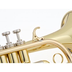 CORNET SIB COURTOIS BELLECOUR VERNI AC243 adv