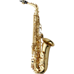 SAXOPHONE ALTO YANAGISAWA A-WO1 VERNI GRAVE Atelier des Vents LaChapelle ST Mesmin
