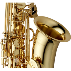 SAXOPHONE ALTO YANAGISAWA A-WO1 VERNI GRAVE Atelier des Vents LaChapelle ST Mesmin