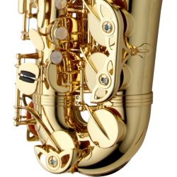 SAXOPHONE ALTO YANAGISAWA A-WO1 VERNI GRAVE Atelier des Vents LaChapelle ST Mesmin