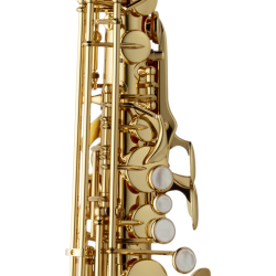 SAXOPHONE ALTO YANAGISAWA A-WO1 VERNI GRAVE Atelier des Vents LaChapelle ST Mesmin