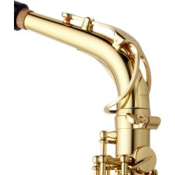 SAXOPHONE ALTO YANAGISAWA A-WO1 VERNI GRAVE Atelier des Vents LaChapelle ST Mesmin